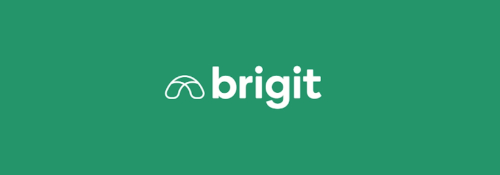 Brigit loan app like moneylion