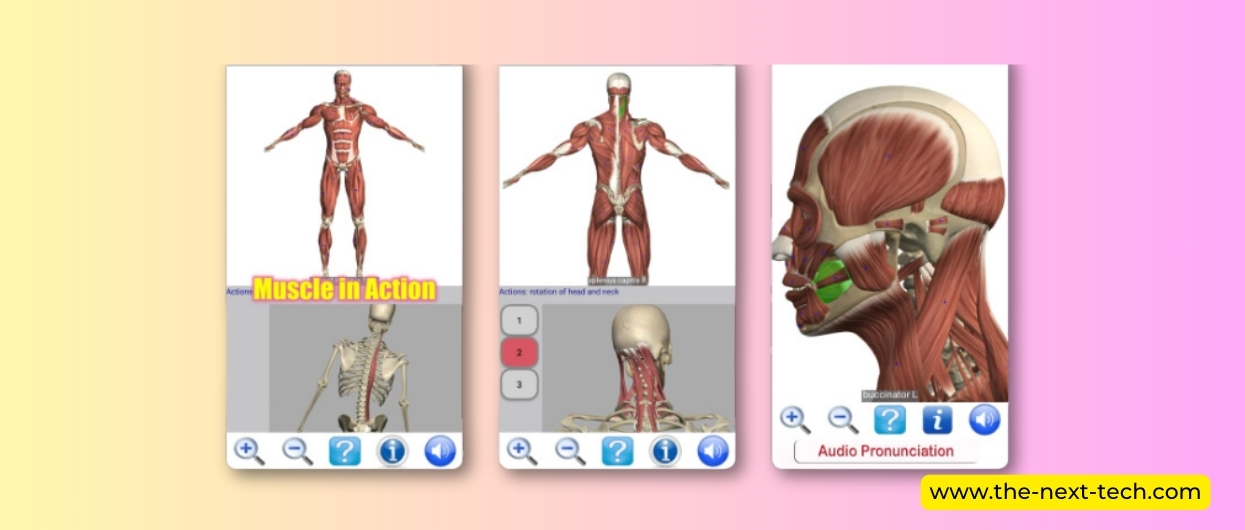 Visual Anatomy Lite