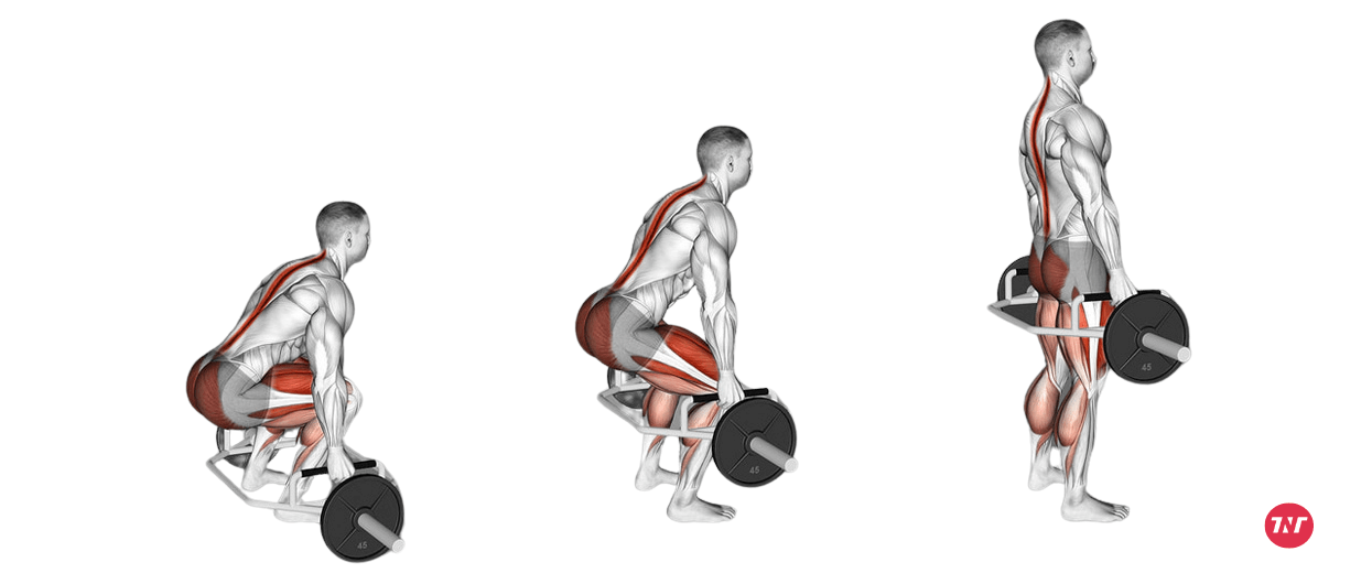 Deadlifts