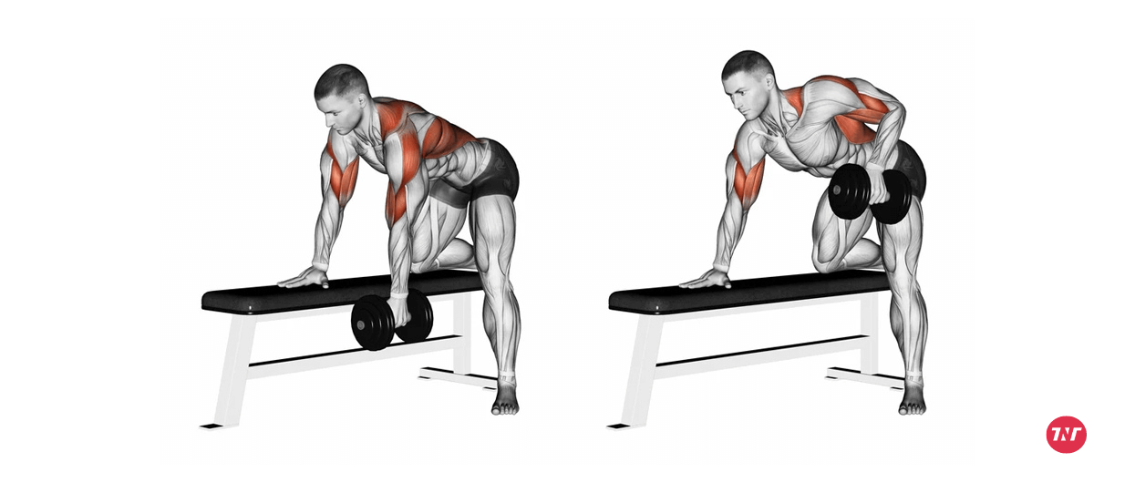 Dumbbell bent-over row