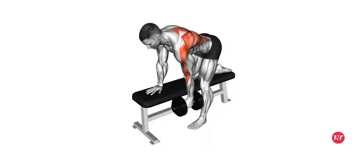 One-Arm dumbbell row