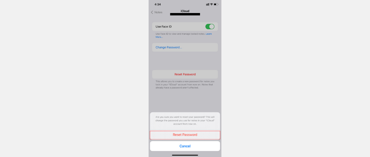 Reset notes password Tap on reset password