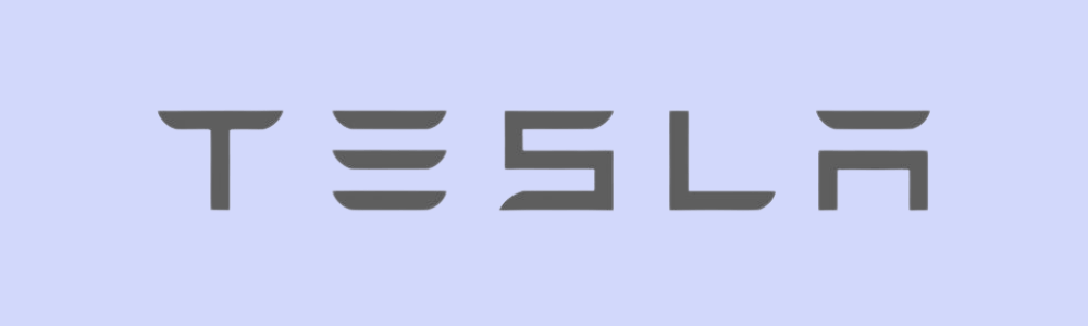 Tesla AI