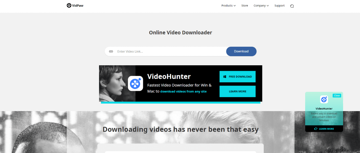 VidPaw video downloader online